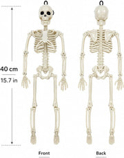 16-inch 40 cm Halloween skeleton decoration front and back view