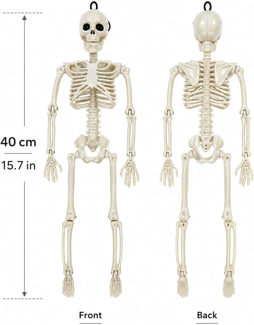 16-inch 40 cm Halloween skeleton decoration front and back view
