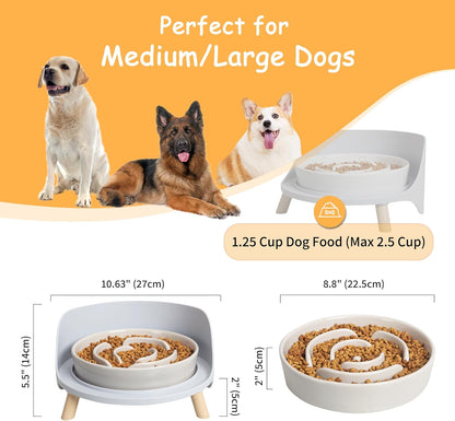 🍽️ Elevated Dog Bowl 🍽️