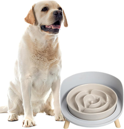 🍽️ Elevated Dog Bowl 🍽️