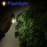 Flashlight feature of keychain alarm illuminating trees at night