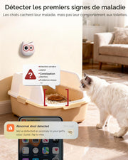 Smartphone alert showing abnormal cat stool detection notification