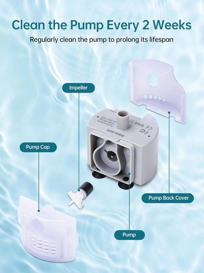 Diagram showcasing pump components and maintenance tips for the SMA-800 cat water pump.