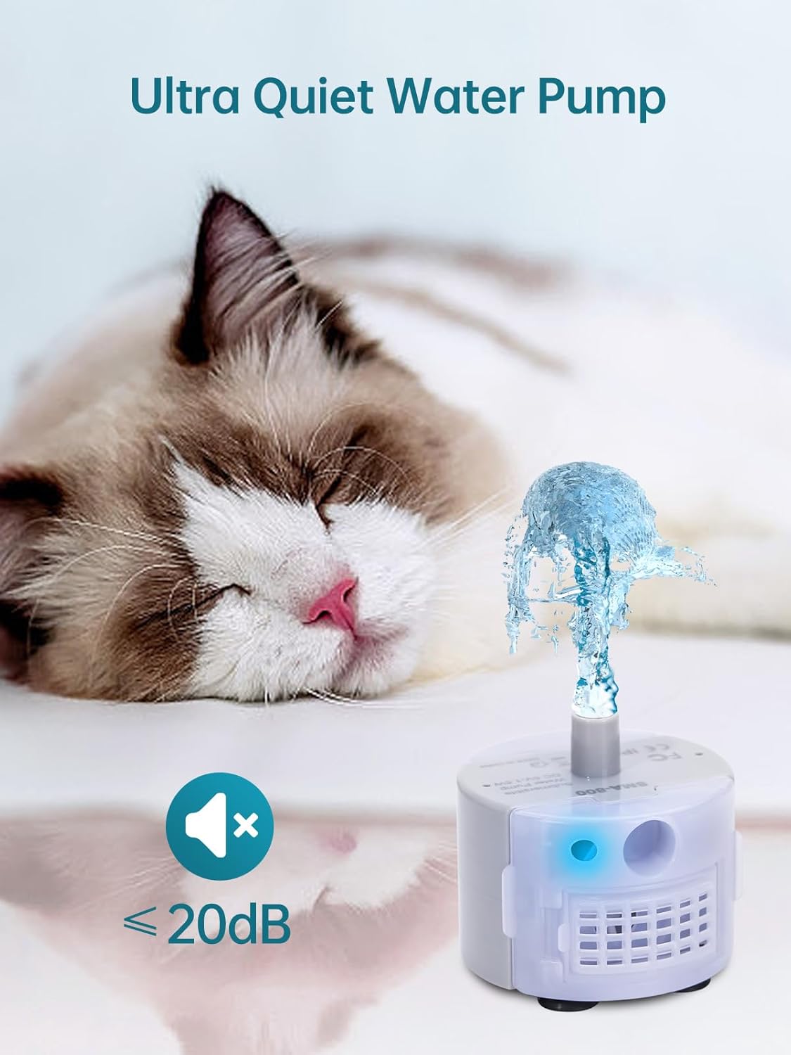 Close-up of the SMA-800 pump with water flow and a sleeping cat demonstrating its ultra-quiet operation (<20dB).