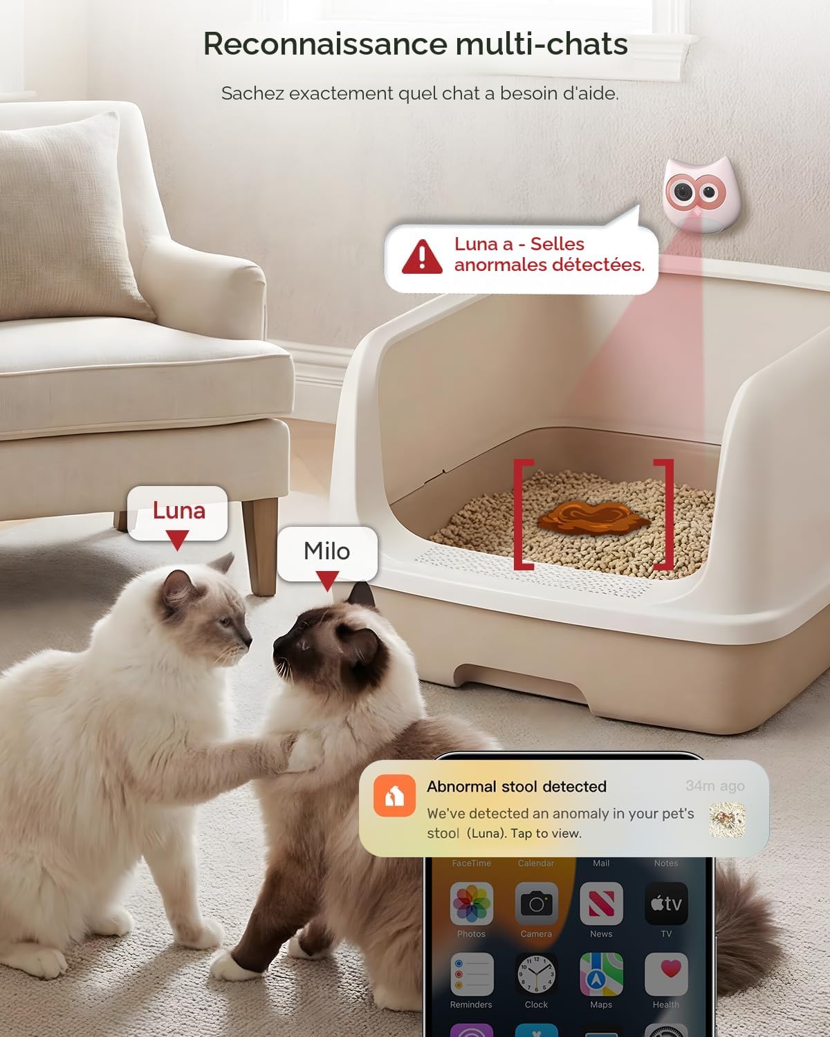 AI litter camera identifying multiple cats and tracking behavior