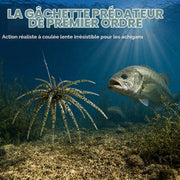 Slow-sinking sea urchin bait attracting predatory fish underwater