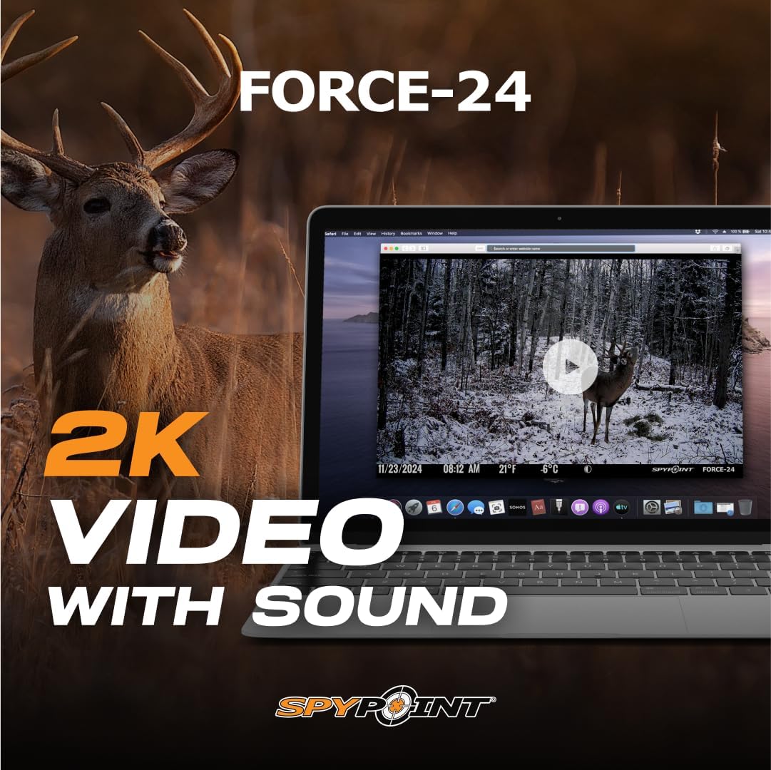 2K wildlife video on laptop screen with deer, recorded using FORCE-24