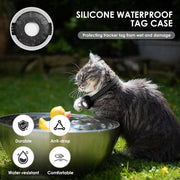 Cat drinking water from a bowl with a silicone waterproof tag case on its collar, set against a natural background.
